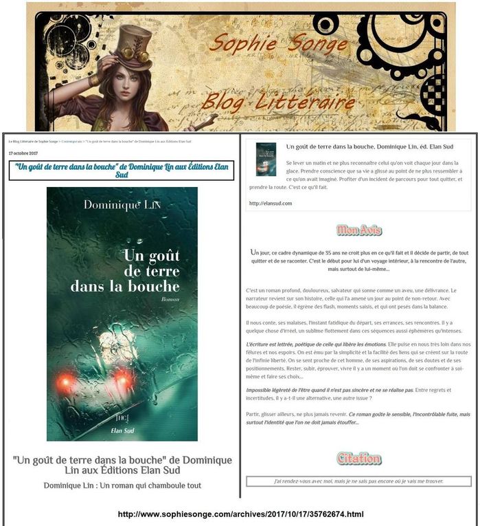 Un goût de terre dans la bouche, le 6e roman de Dominique Lin très remarqué