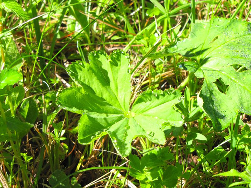 Faites défiler les images en diaporama