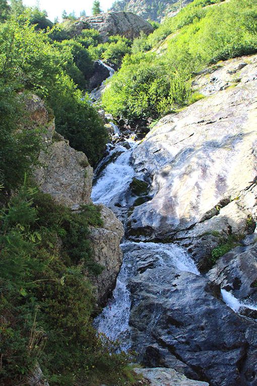Ariège, Alpes, Drôme et Vaucluse, les auteurs en dédicaces