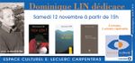 Carpentras, l'espace Culturel reçoit Dominique LIN
