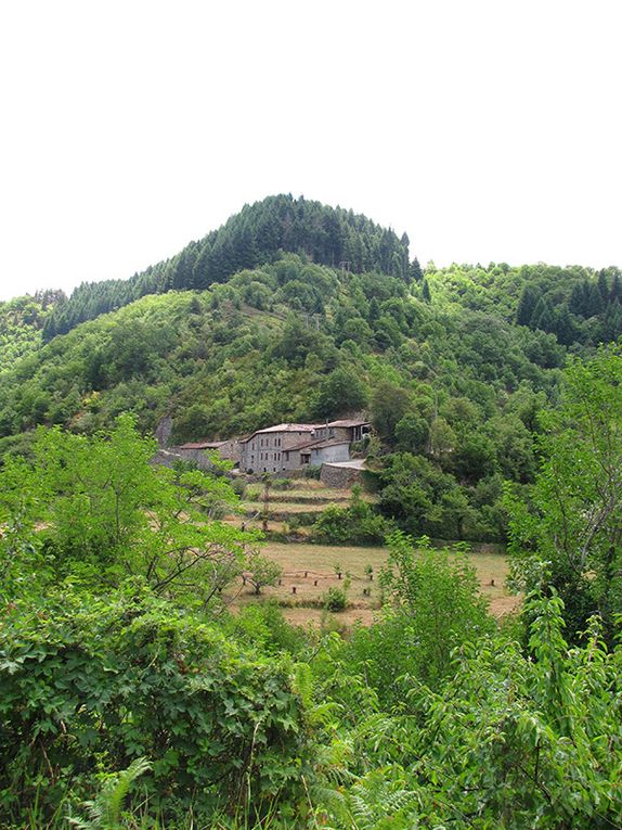 Elan Sud porte le livre en Ardèche, dans la vallée de l'Eyrieux avec 4 auteurs