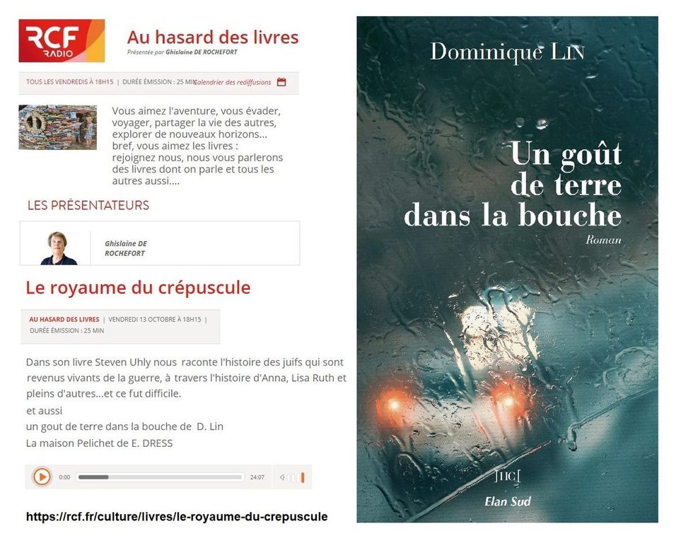 Un goût de terre dans la bouche, le 6e roman de Dominique Lin très remarqué