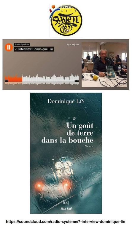 Un goût de terre dans la bouche, le 6e roman de Dominique Lin très remarqué