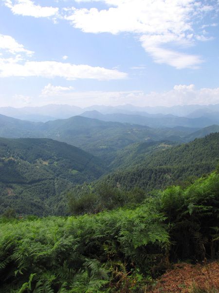 Faites défiler les images en diaporama