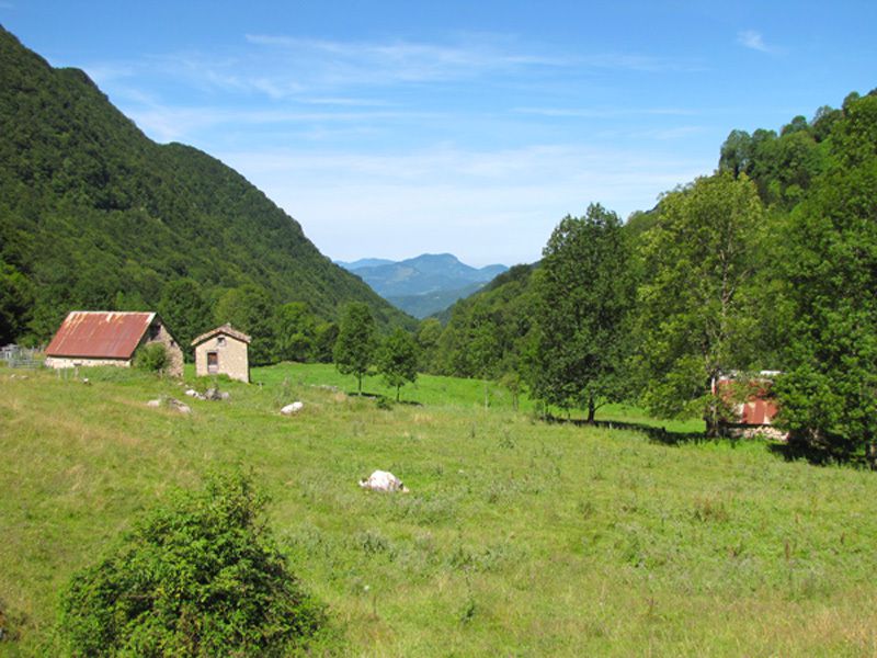 Faites défiler les images en diaporama