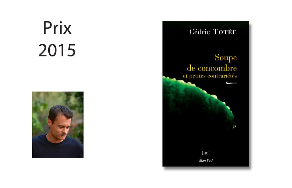 Photos des lauréats et couvertures des romans primés première chance à l'écriture