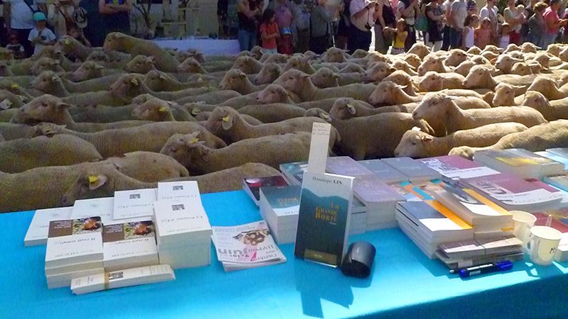 Le sourire est toujours de mise chez les auteurs Elan Sud