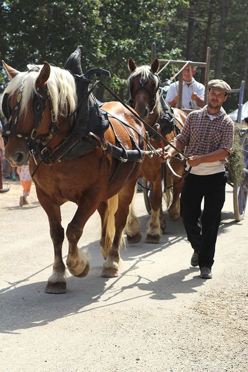 Les auteurs en dédicaces