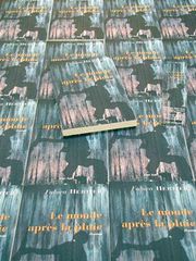 le monde après la pluie, Fabien Hertier