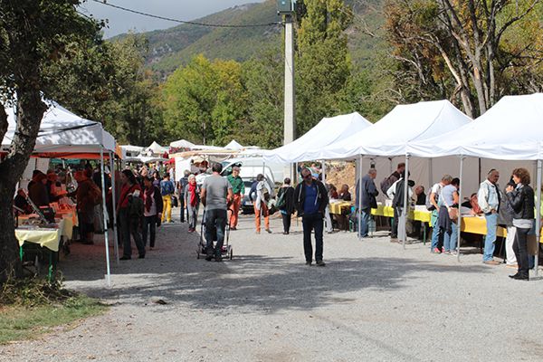 Elan Sud au contact des lecteurs isolés